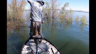 Bowfishing for Carp - Lake Elsinore 4-21-24 (pt 1 of 2)