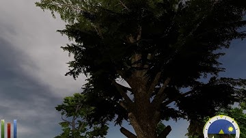 Daggerfall Unity 2020 with 3D trees, BEAUTIFUL!