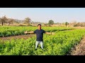 Gaon ke Kheto me aa gaye || Kheto me kam shuru krr diya 😱❤️|| गाव  खेतो मे masti 🤘😜😜