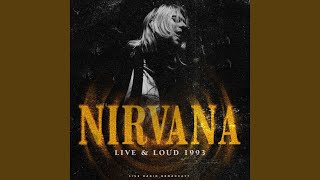 Video thumbnail of "Nirvana - Serve The Servants"