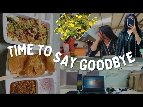 Closing This Chapter - A Final Goodbye to This Journey | UIUX Designer | 9 to 5 Job #lastday #vlog