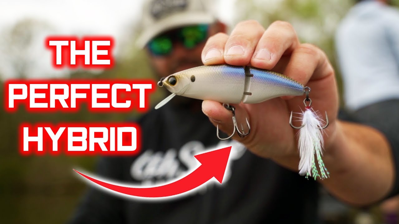 The PERFECT SWIMBAIT/CRANKBAIT Hybrid 