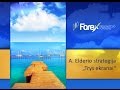 Trys Elderio ekranai - klasikinė Forex strategija naujokams