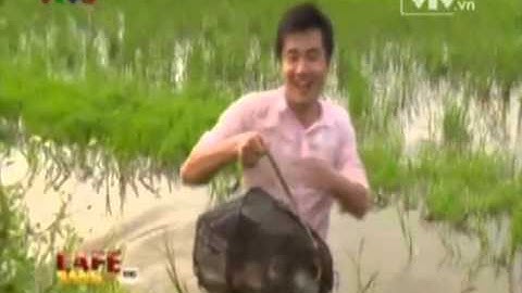 THỊT CHUỘT YÊN THÀNH ĐÃ LÊN VTV3