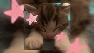 And anytime you feel the pain ... - Hey Jude ( Speedup )