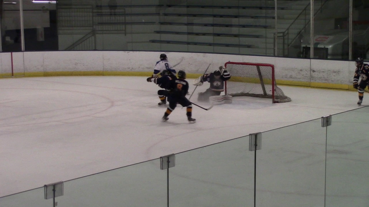 40 of 72 Blues v Sabres 20161211