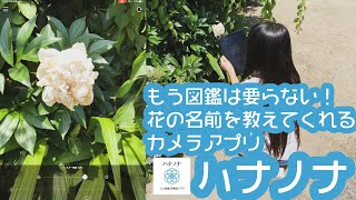 【 神アプリ】もう図鑑は要らない！花の名前を教えてくれるカメラアプリ【ハナノナ】！わがやの日記#230