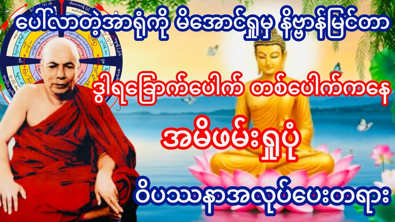 ဒွါရခြောက်ပေါက် တစ်ပေါက်ကနေ အမိဖမ်းရှုပုံ ဝိပဿနာအလုပ်ပေးတရား(မိုးကုတ်ဆရာတော်ဘုရားကြီး)
