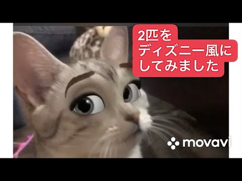 ディズニー風にしてみた Youtube