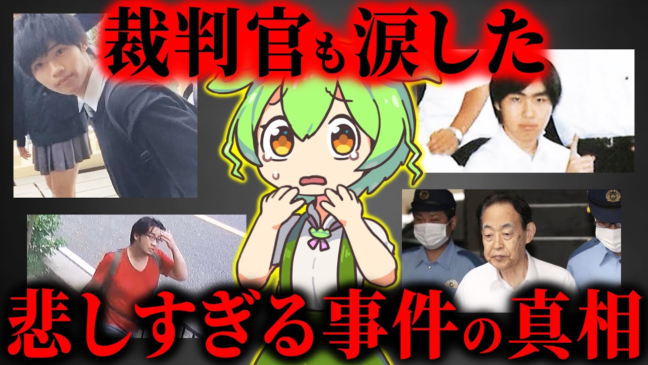 【総集編】警察や裁判官でさえ涙した悲しすぎる事件の真相【ずんだもん＆ゆっくり解説】