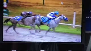 The 2017 BC Derby, Chief Know It All