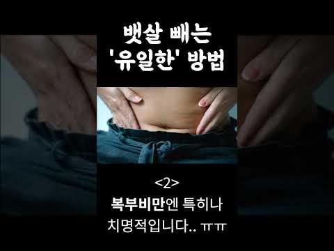 카이스트 식단