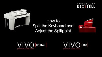 How to split the Keyboard and adjust the Splitpoint