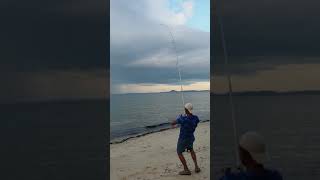 Alif Strikes Again..