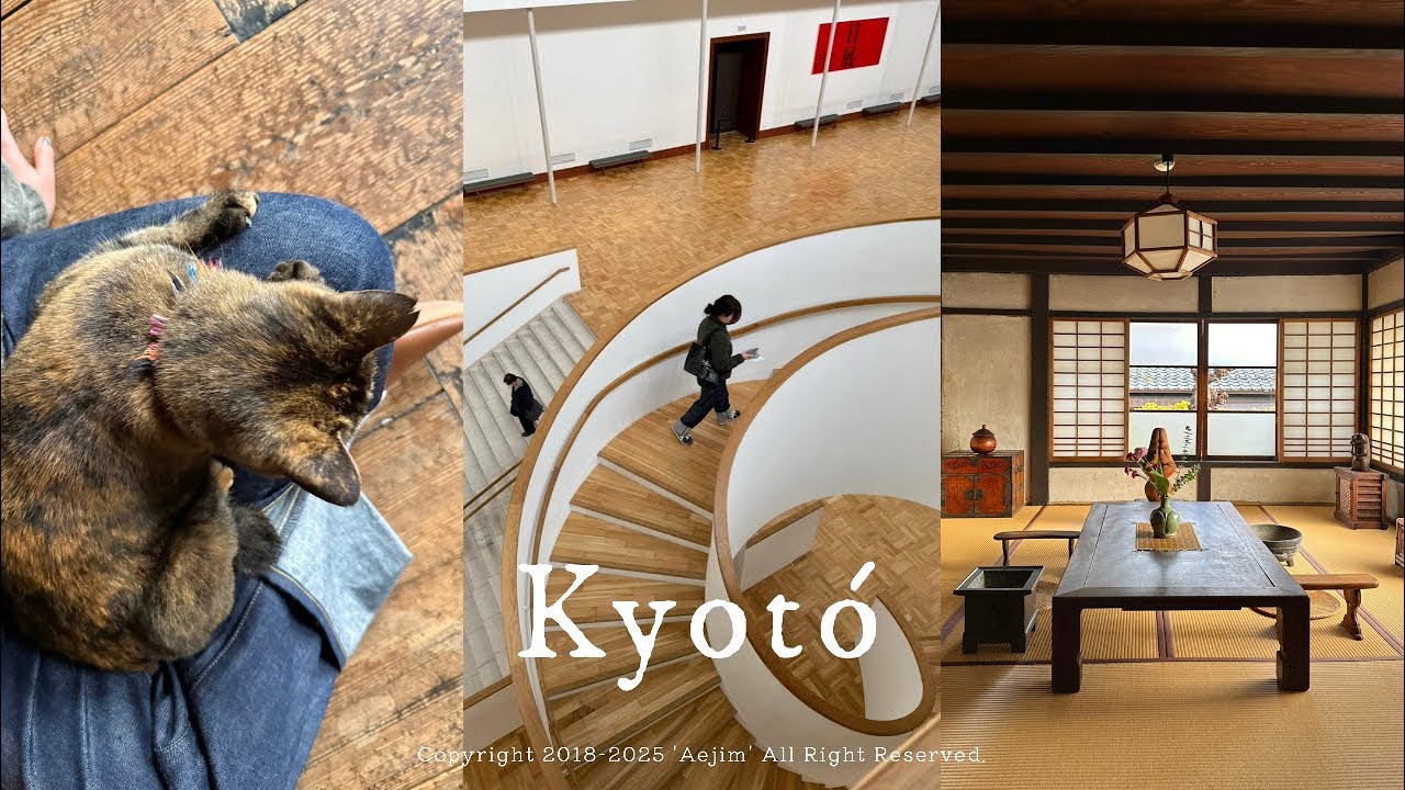 🏛️ 교토 여행 교오양 버전 (교세라미술관•우사기노잇포•교토가정식•가와이간지로기념관•블루보틀교토•신풍관•신푸칸•스텀프타운커피•큐쿄도)