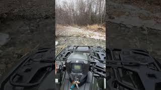 🤩🤓 #lifeisbutadream #nature #snow #duck #mountains