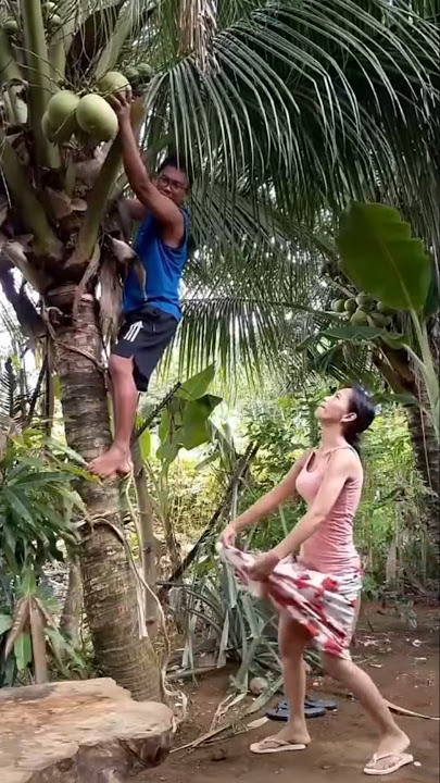 want to laugh afraid of sin funny videos make people laugh entertainment   62 funny videos