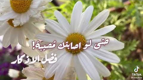 فضل المداومة على الأذكار اليومية