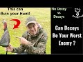 The truth about turkey decoys  should you use them