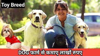 Dog फार्म से कमाए लाखों रुपए 🐕Dog Kennel, Dog Farming in india 😱 Toy Dog Breed,