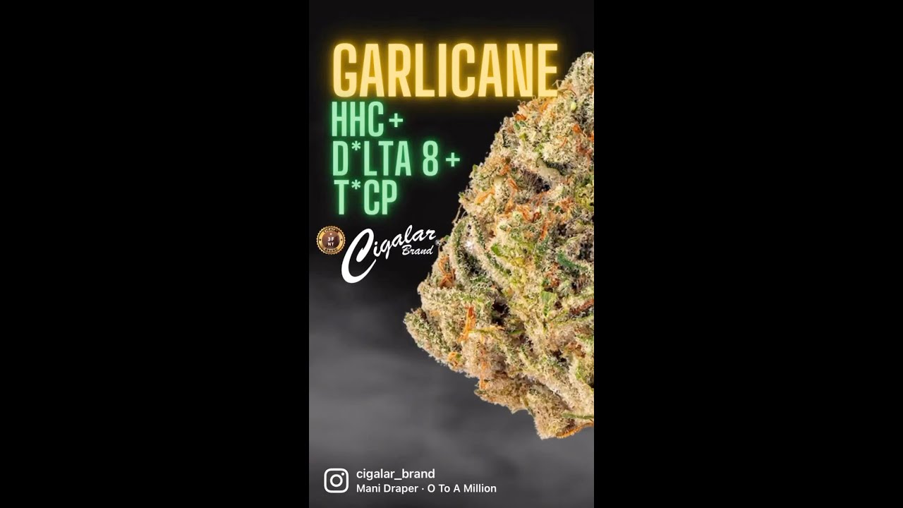 Garlicane-Cigalar Brand