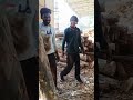 Aisi speed impossible lagti hai 😱🔥#shorts #amazingmachinery @plywood_wala01