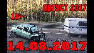 Новая Подборка Аварий и ДТП 18+ Август 2017 || Кучеряво Едем