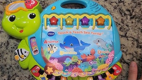 Touch & Teach Sea Turtle | Learn abcd & numbers & Weather #touchteachseaturtle #abcd #nurseryrhymes