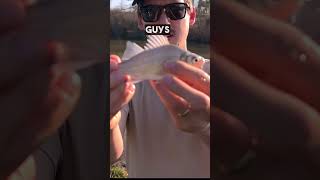 What Did I Catch? Ive Never Seen This Species Before..