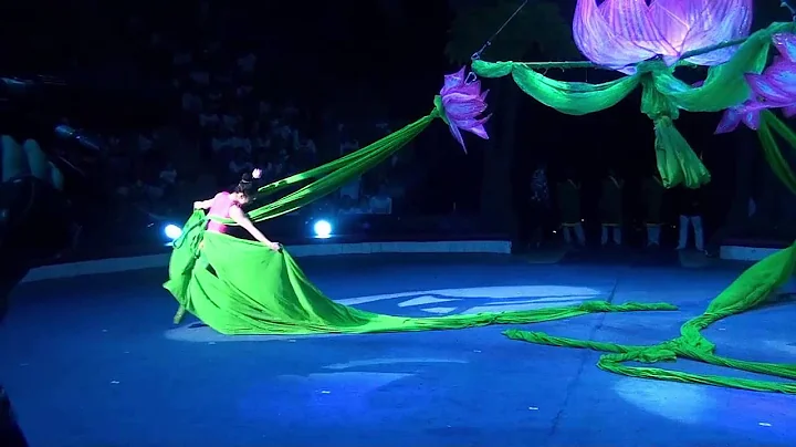 Jenny Chau-Animal Circus Funny Monkey Show-New 2016