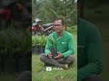 setiap hari kesempatan untuk mengubah diri.#tren #trending #vlogs #vlog #viral #creator #craetive
