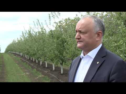 Video: Ce este o întreprindere agricolă?