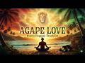 Roots Reggae Da Zionist [Lost Album] AGAPE LOVE (1976)
