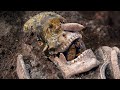 10 Most Shocking Recent Archaeological Discoveries!