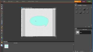 Celebrity Photoshop Elements Video 5 - The Shape Tool Wealth