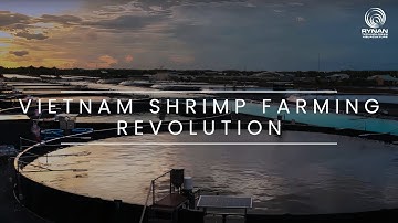 RYNAN Aquaculture high-tech shrimp farming in Vietnam