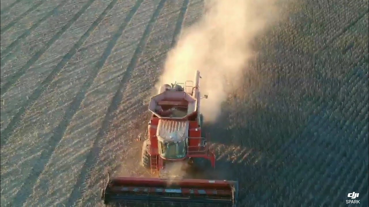 Soybean milo harvest, Kansas YouTube