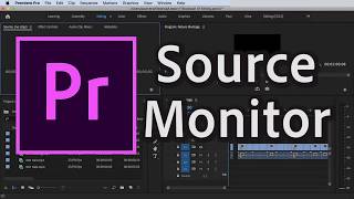 How to Use Source Monitor in Premiere Pro CC 2020