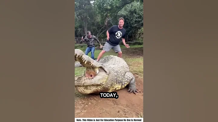The World’s Oldest Crocodile Still Alive at 125 Years Old 🐊🔥 | Henry the Nile Croc