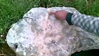 20042011(001).mp4