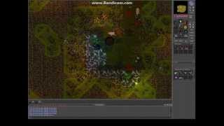 Tibia Gnomes Task
