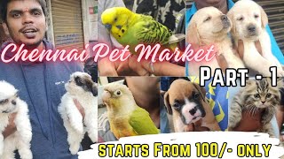 Chennai Sunday Pet Market in Telugu [చెన్నై పెట్ మార్కెట్ ]...