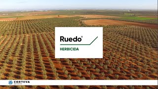 En el campo con Ruedo® – Écija, Sevilla
