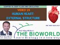 V 15 II HUMAN HEART: EXTERNAL II BODY FLUID AND CIRCULATION II CHAPTER 18 II NCERT II