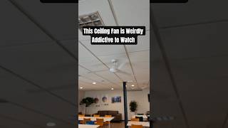 This Ceiling Fan is Weirdly Addictive to Watch 🌀 (ASMR)