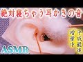 【ASMR】絶対に寝ちゃう耳かき♡まったりじっくり優しく時に激しく鼓膜へ届く耳掃除の音【音好き】煤竹耳かき・梵天・DIYの疑似耳バイノーラルマイク使用☆平成最後の音蜜☆ありがとうございました