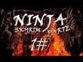 Ninja Skyrim e a Irmandade Sombria Parte 1