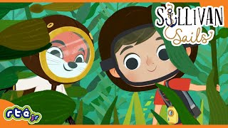Whats Hiding In The Underwater Forest? Hide And Seek Sullivan Sails Ékidsjr