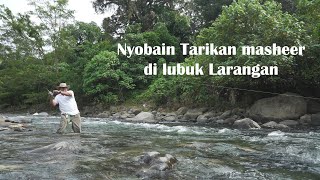 Nyobain Mancing Ikan Masheer di Lubuk Larangan!