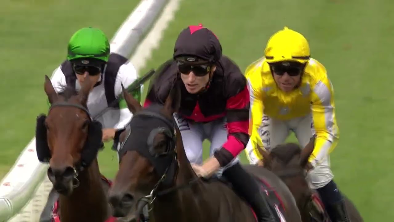 MARIA FARINA King s Plate 2024 G3 SWP Group 3 Ellerslie New  